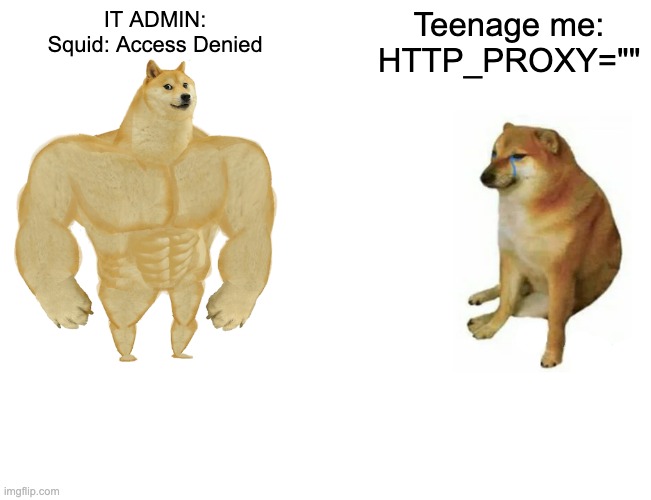 Bypassing the IT Admin's proxy